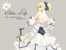 Fate Stay Night
fate stay_night saber unlimited_codes