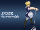Fate Stay Night
fate stay_night saber maid