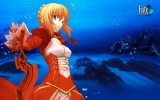 Fate Stay Night
fate stay_night saber extra