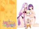 Fate Stay Night
fate stay_night