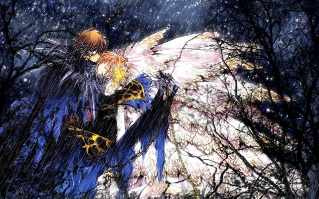 ,
Tsubasa Chronicle