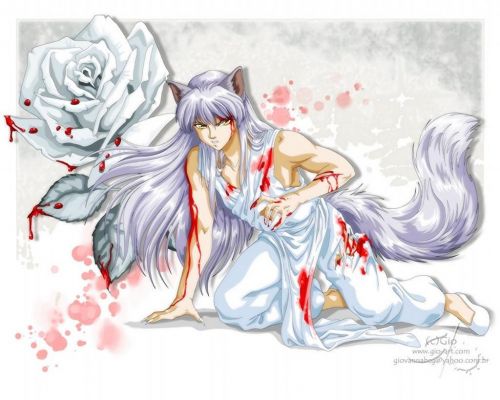  
     .
Inuyasha 