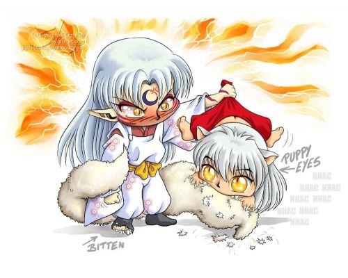 
Inuyasha   