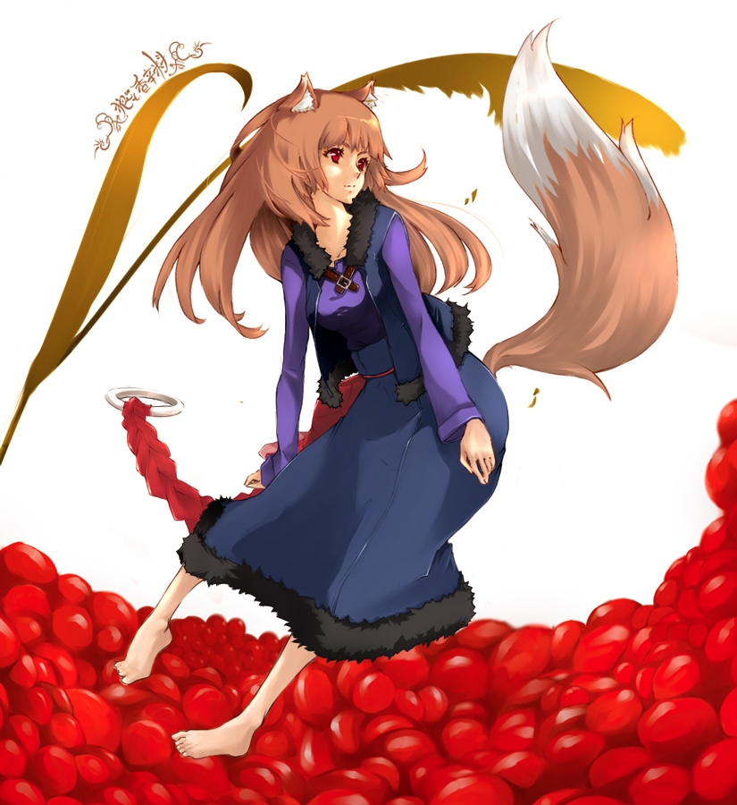spice_and_wolf63, spice, wolf