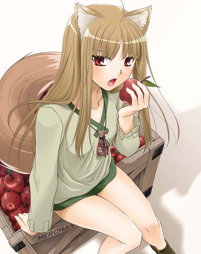 spice_and_wolf72, spice, wolf