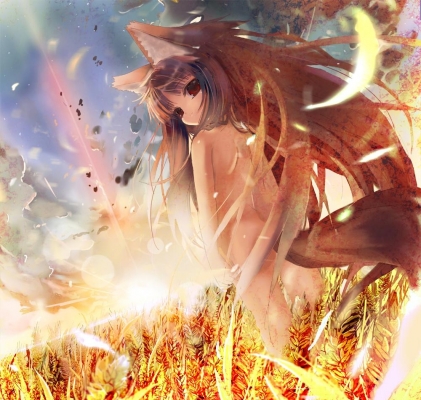 spice_and_wolf32
spice and wolf