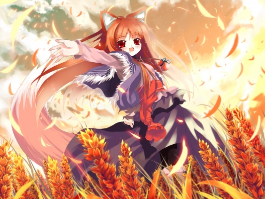 spice_and_wolf46
spice and wolf