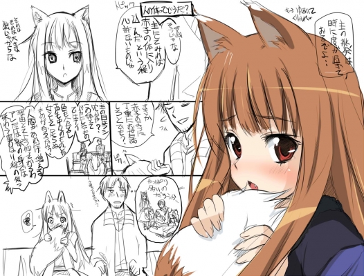 spice_and_wolf51
spice and wolf