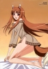 spice_and_wolf35
spice and wolf