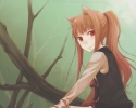 spice_and_wolf45
spice and wolf