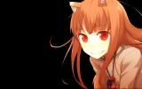 spice_and_wolf49
spice and wolf