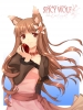spice_and_wolf58
spice and wolf