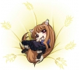 spice_and_wolf59
spice and wolf