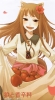 spice_and_wolf60
spice and wolf