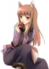 spice_and_wolf64
spice and wolf