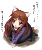 spice_and_wolf81
spice and wolf