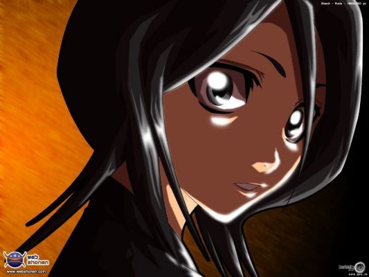 Kuchiki Rukia
Bleach Kuchiki Rukia