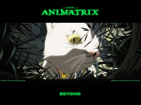 The Animatrix
The Animatrix