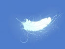Angel`s Feather
