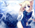 Angel (Neko)
kawaii-ness and Cute > Neko