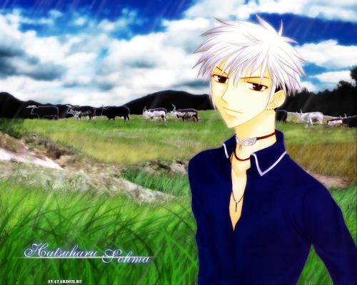 Hatsuharu Sohma
Hatsuharu Sohma, Furuba, Fruits basket,  ,  