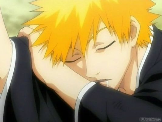 ichigo...
