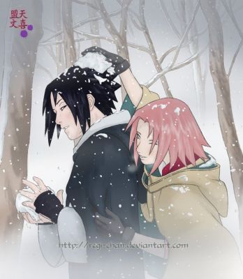 sasuke sakura
sasuke sakura