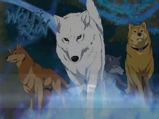 Wolfs Rain
Wolfs Rain