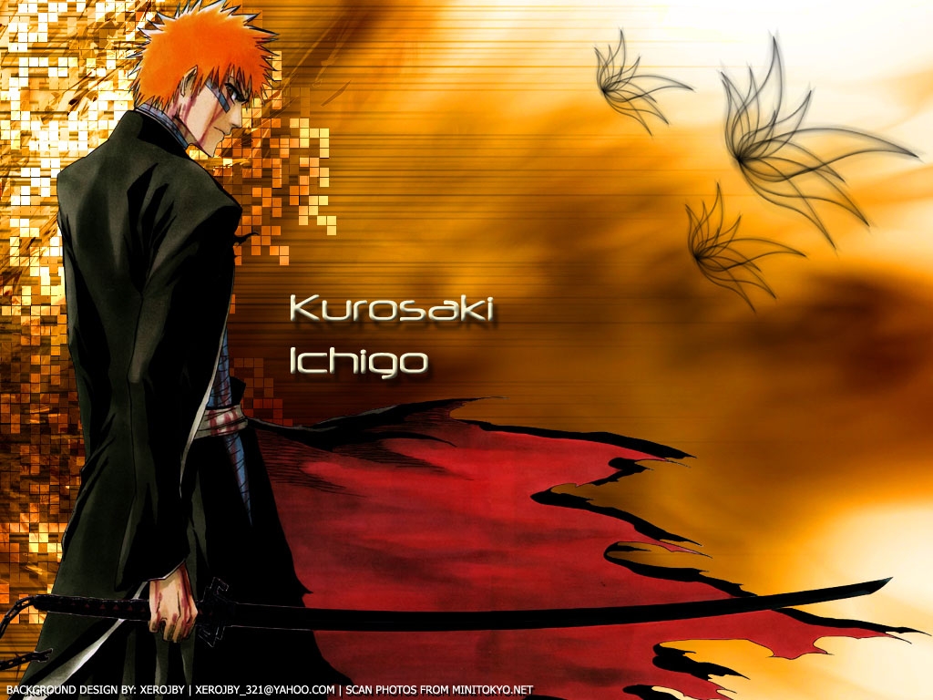 Bleach, 