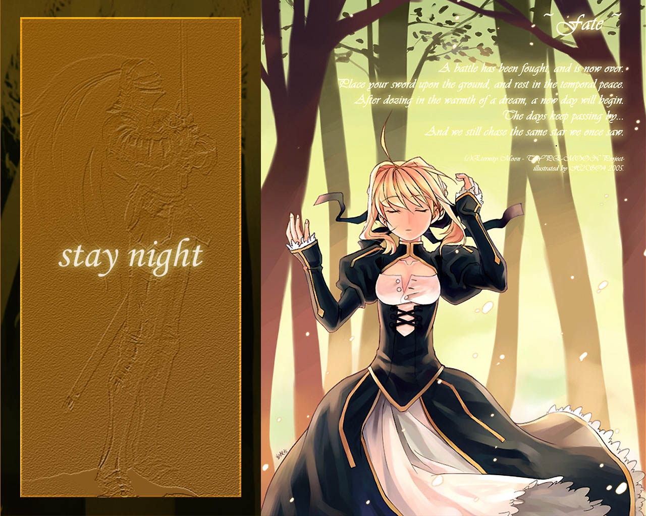 Fate, Stay, Night, Fate/Stay