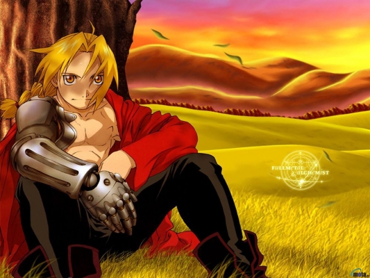 Fullmetall Alchemist
Fullmetall Alchemist