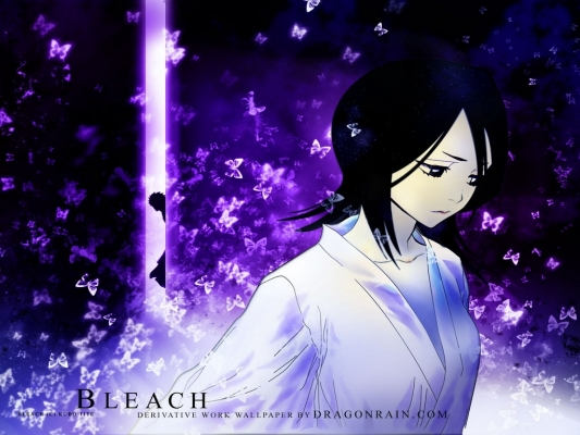 Bleach
bleach 