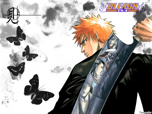 Bleach
bleach 