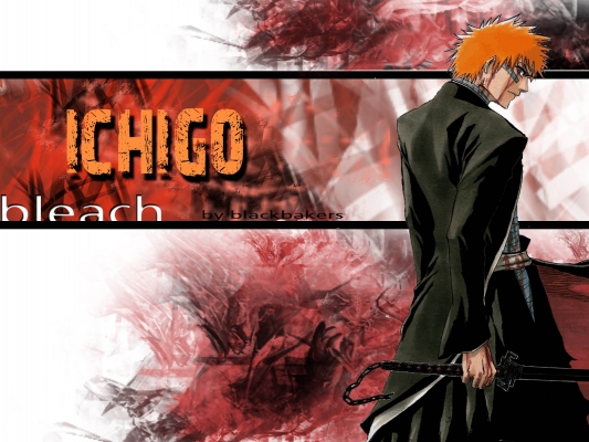 Bleach
bleach 