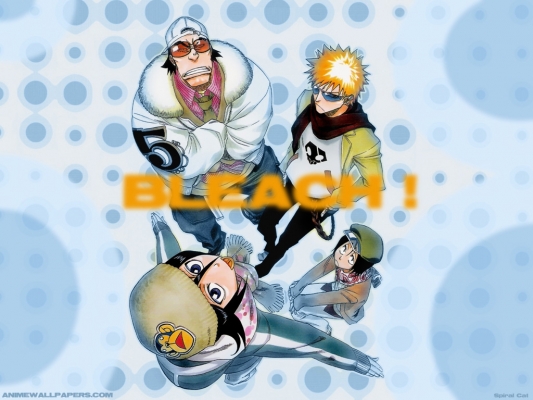 Bleach
bleach 