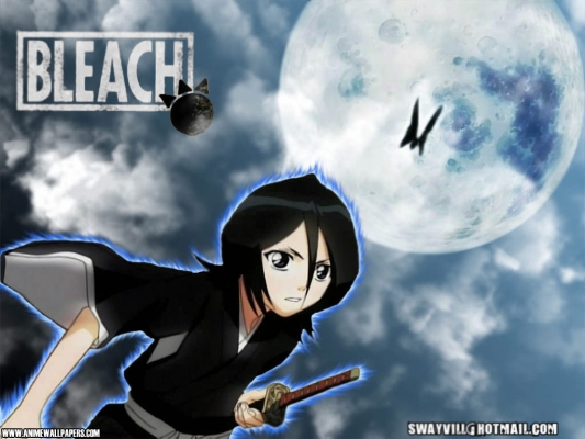 Bleach
bleach 