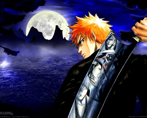 Bleach
bleach 