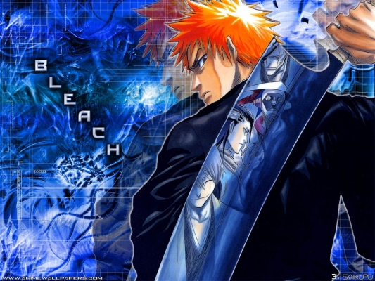 Bleach
bleach 