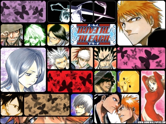 Bleach
bleach 