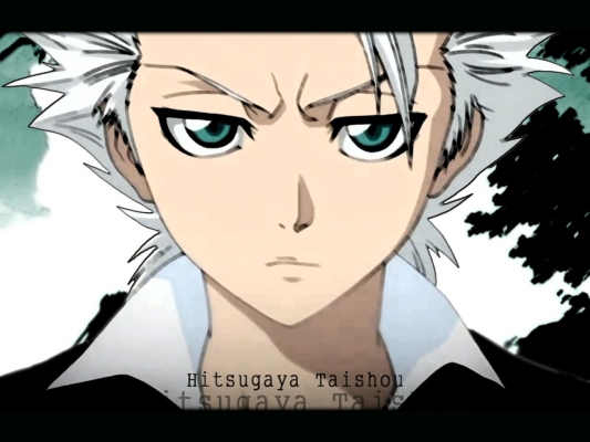 Hitsugaya Taishou
bleach 