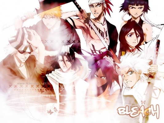 Bleach
bleach 