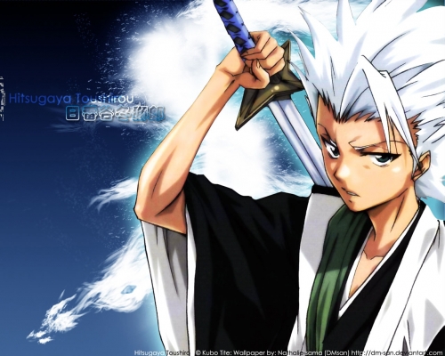 Hitsugaya Taishou
bleach 