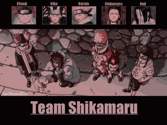 Team Shikamaru
naruto 