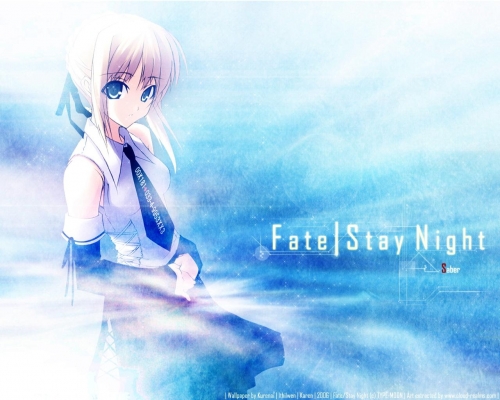 Fate Stay Night
Fate Stay Night