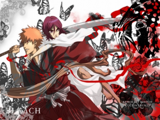 Bleach
Bleach 