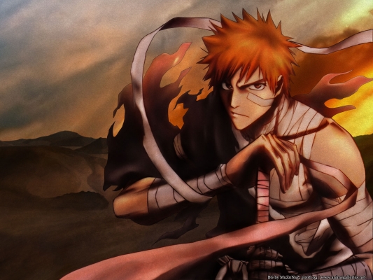 bleach
bleach 