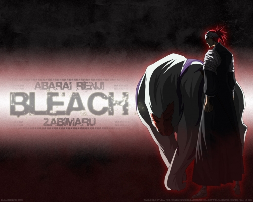 Bleach
bleach 