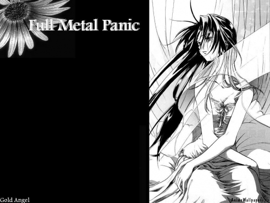 Full metal panic
Full metal panic