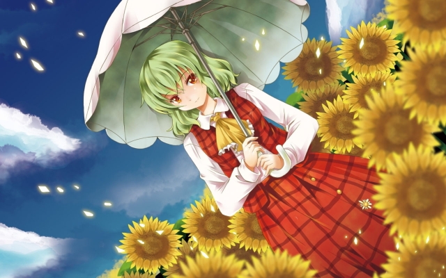 Touhou - A Summer Days Dream
Touhou Summer Day's Dream Niji Sousaku Doujin Anime Musou Kakyou