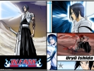 Ishida
bleach 